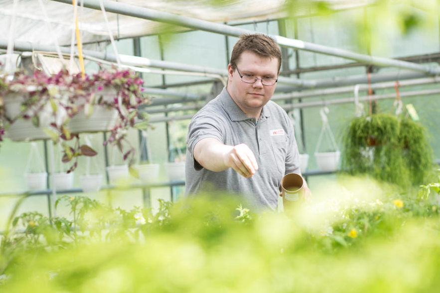 Ausbildung im Gartenbau, Fachrichtung Ziepflanzen. Der Einsatz von Nützlingen gehört zum modernen Pflanzenschutz.