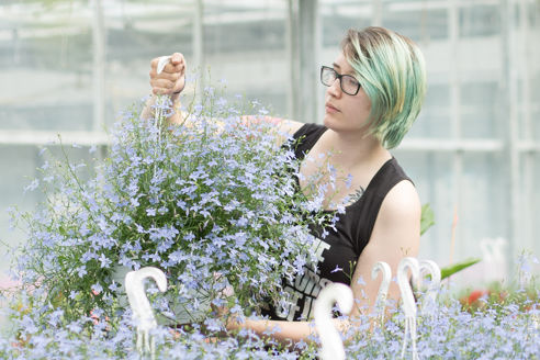 Ausbildung im Gartenbau, Fachrichtung Zierpflanzen. Frühlingsblumen termingerecht zum Blühen zu bringen, gehört zum Beruf dazu..
